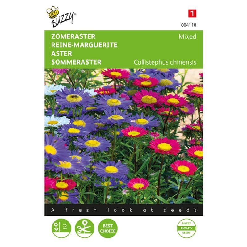 Buzzy Bloemzaad Zomeraster Callistephus Chinensis