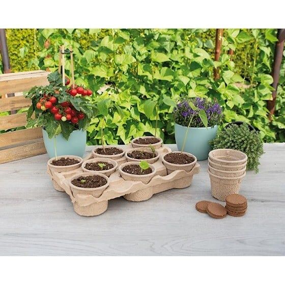 Eco kweektray incl. 8 pots