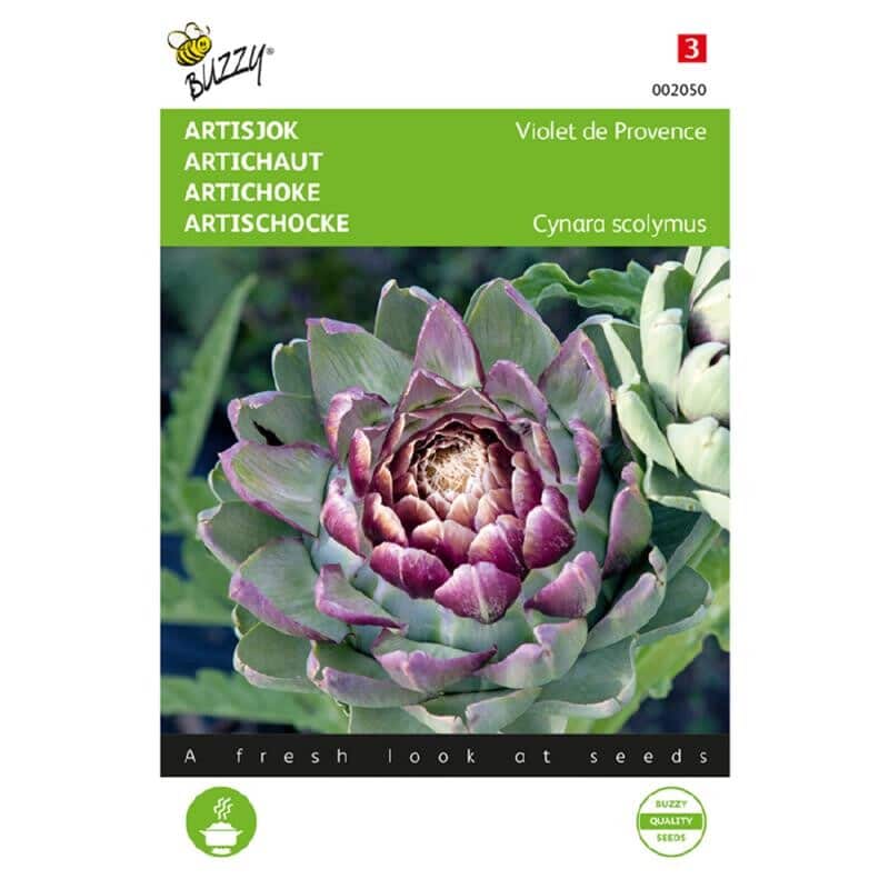Buzzy Groentezaad Artisjok Violet De Provence Cynara Cardunculus
