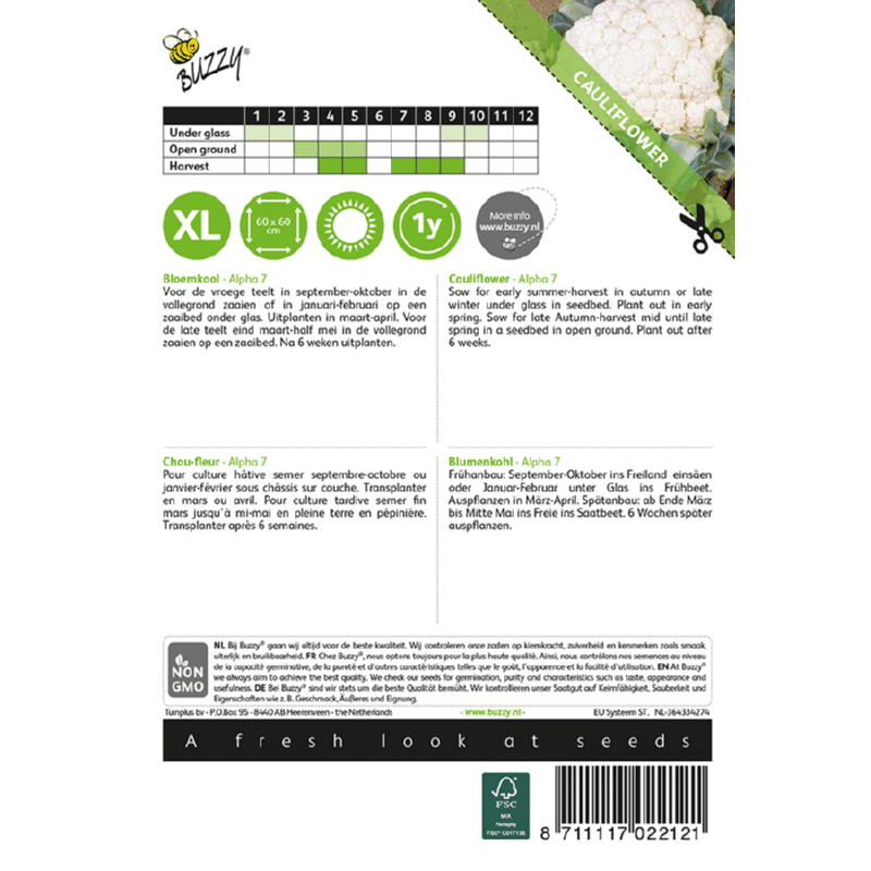 Buzzy Groentezaad Bloemkool Alpha 7 Brassica Oleracea Convar. Botryti - Afbeelding 2