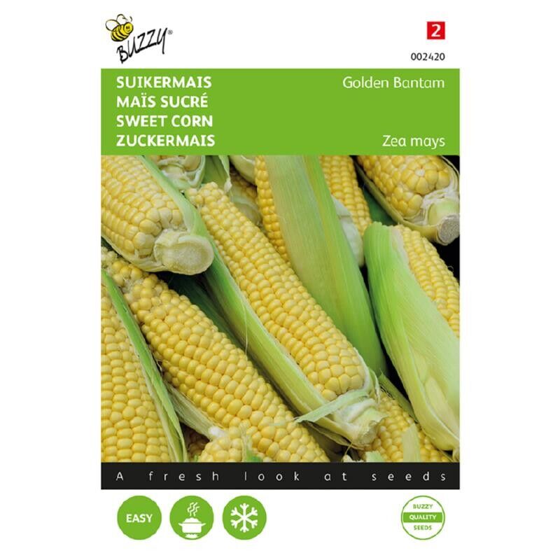 Buzzy Groentezaad Suikermais Golden Bantam Zea Mays