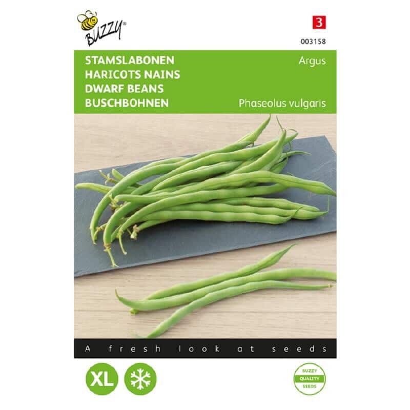 Buzzy Groentezaad Stamslabonen Haricot Vert Argus Phaseolus Vulgaris
