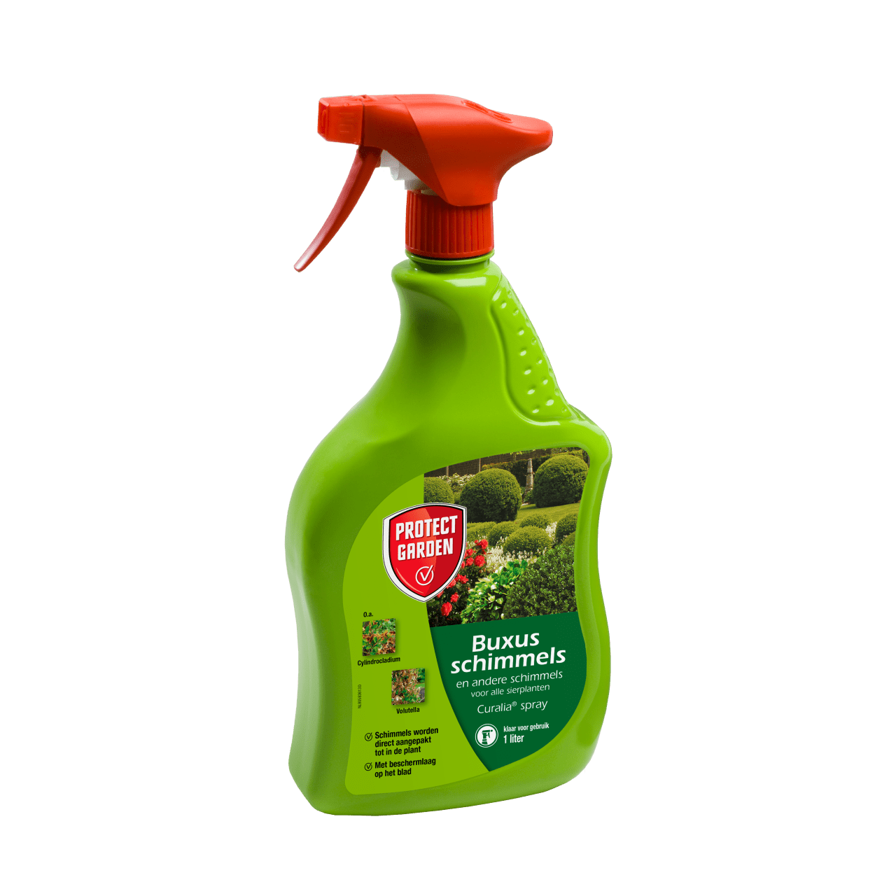 Curalia spray Buxus